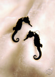 Seahorse Earrings in black stainless steel
